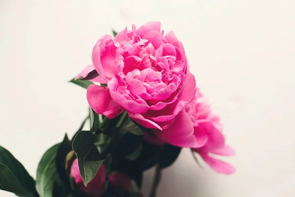 Прекрасні Рожеві Півонії Квіти Сільському Білому Дерев Яному Фоні Простір — стокове фото