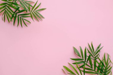 şık yaz düz yatıyordu. taze hurma çerçeve, pembe arka plan kopya alanı ile bırakır. yaz tatil kavramı. seyahat ve Yolculuk tutkusu