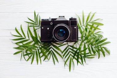 yaz tatil kavramı, düz yatıyordu. şık siyah eski fotoğraf makinesi üstünde yeşil palmiye Beyaz ahşap zemin üzerine bırakır. Modern hipster seyahat ve Yolculuk tutkusu görüntü. Merhaba yaz