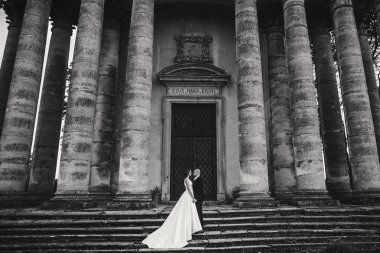 Güzel parktaki eski şatonun yakınlarında güneş ışığında poz veren muhteşem bir düğün çifti. Tarz sahibi güzel gelin ve damat el ele tutuşuyorlar.