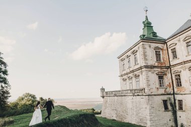 Güzel parktaki eski şatonun yakınlarında güneş ışığında yürüyen muhteşem bir düğün çifti. Tarz sahibi güzel gelin ve damat antik yapı ve doğanın arka planında poz veriyor.