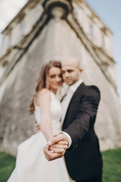 Muhteşem Gelin Damat Kucaklaşıyorlar Parktaki Eski Şatonun Yakınında Ele Tutuşuyorlar — Stok fotoğraf