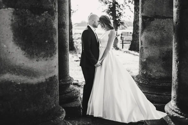 Casal Lindo Casamento Abraçando Luz Sol Perto Castelo Velho Belo — Fotografia de Stock