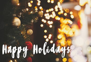 Mutlu bayramlar. Şık noel işaretleri. Köknar dalları.