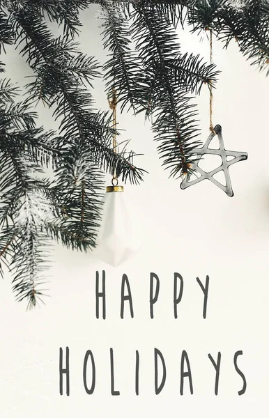 Happy Holidays tekstbord op stijlvolle kersttakken met glas — Stockfoto