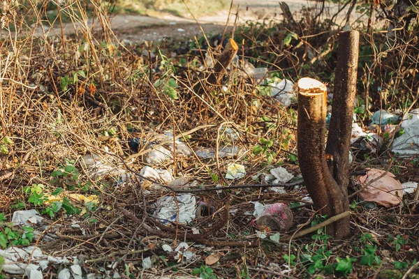 Poubelle en plastique dans le parc. Dépotoir sale dans la forêt ou le parc, péché — Photo