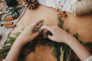 Ellerinde köknar dalları, kozalaklar, iplik, böğürtlen, bilim