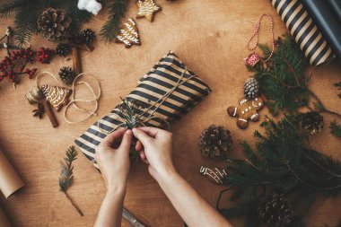 Noel hediyesini şık çizgili kağıt ve çam ağacıyla saran eller. 