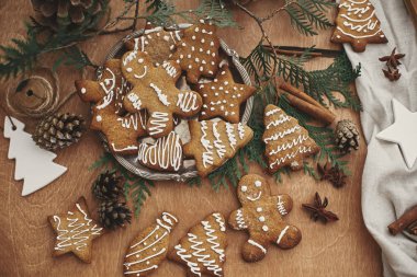 Yılbaşı zencefilli kurabiyeleri eski tabak ve anason, Cinnam