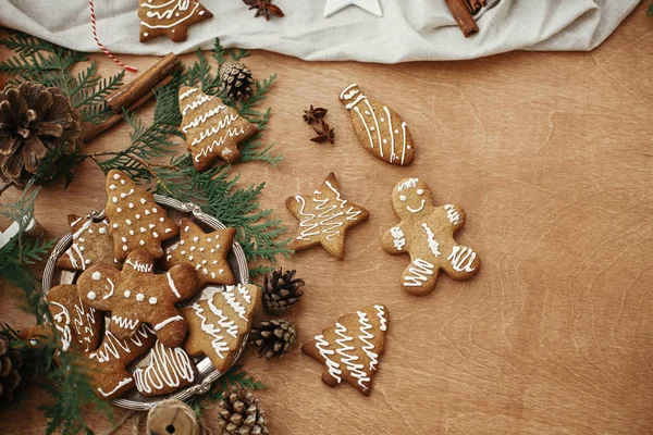 Christmas gingerbread cookies on vintage plate and anise, cinnam — Stock Photo, Image