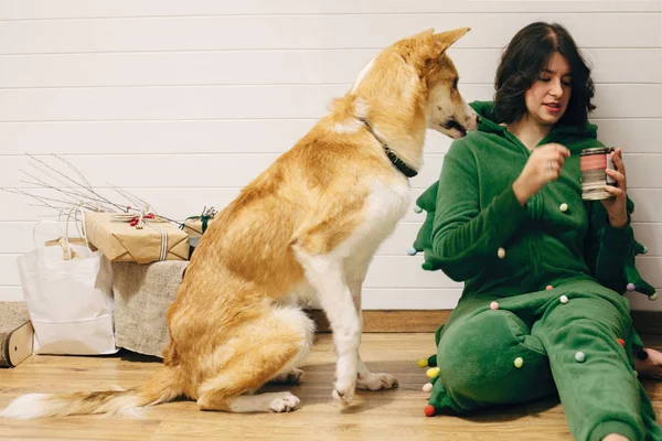 Счастливая девушка в праздничной пижаме кормит собаку консервами, садится — стоковое фото