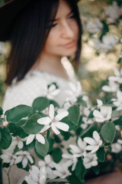 Bulanık boh 'un arkaplanındaki ağaç dalında ayva beyaz çiçekleri