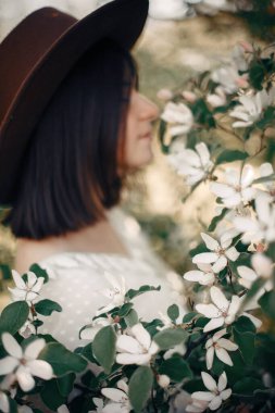 Bulanık boh 'un arkaplanındaki ağaç dalında ayva beyaz çiçekleri