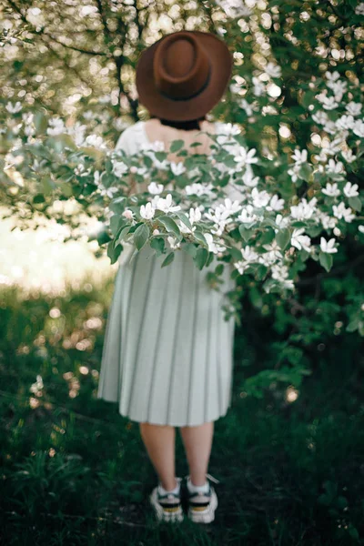 Coccodrillo fiori bianchi su ramo d'albero su sfondo di boh sfocato — Foto Stock