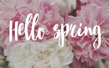 Merhaba, güzel şakayık buketi üzerine bahar mesajı. Şık pembe. 