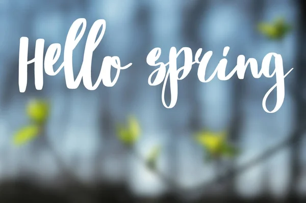 Hallo voorjaar tekst handgeschreven op blauw wazig achtergrond van spri — Stockfoto