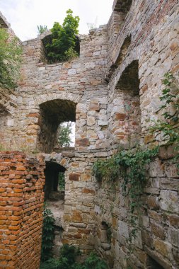 Ortaçağ şatosu ve ağaçlarından oluşan eski harabe duvarlar, Avrupa 'daki tarihi savunma kalesi. Terebovlya Kalesi, Ukrayna. Pencereli taş duvarlar, yeşil tepedeki şato..