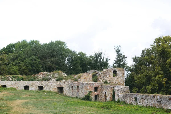 Παλιά Ερείπια Τούβλων Μεσαιωνικού Κάστρου Και Δέντρων Ιστορικό Αμυντικό Φρούριο — Φωτογραφία Αρχείου