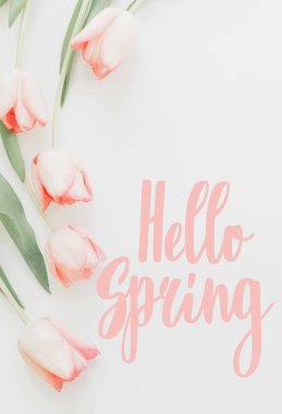 Merhaba bahar. Pembe laleler sınırında bahar mesajı, çiçek dolu tebrik kartı. Zarif bir imaj. El yazısıyla yazılmış harfler. İlkbahar dikey posteri