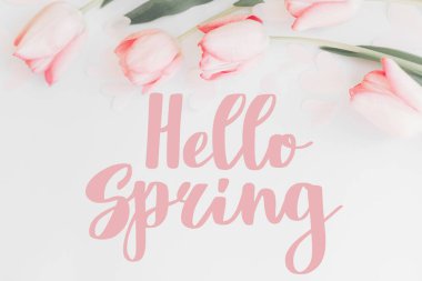 Merhaba bahar. Beyaz arka planda pembe laleler üzerinde bahar mesajı, çiçekli tebrik kartı. Zarif bir imaj. El yazısıyla yazılmış harfler. İlkbahar posteri