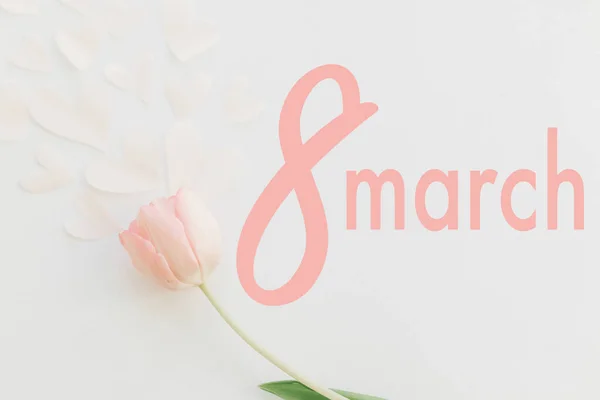 Marzo Buon Biglietto Auguri Giorno Delle Donne Marzo Testo Rosa — Foto Stock