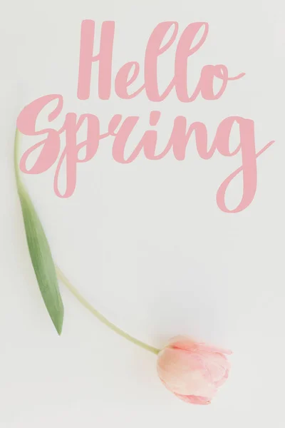 Hallo Frühling Hallo Frühling Text Auf Rosa Tulpenrand Florale Grußkarte — Stockfoto