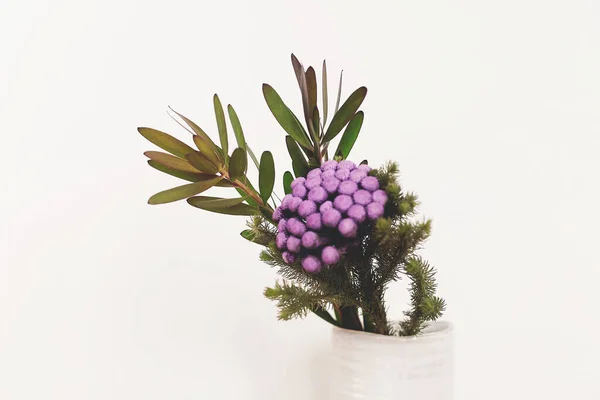 白底陶瓷花瓶中的布鲁尼亚植物和绿色枝条 不同寻常的创意之花家居装饰 漆成紫色的乌头花 — 图库照片