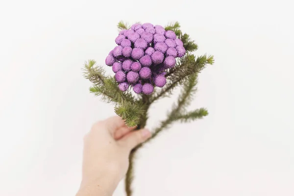 Planta Mano Brunia Sobre Fondo Blanco Con Espacio Para Copiar — Foto de Stock