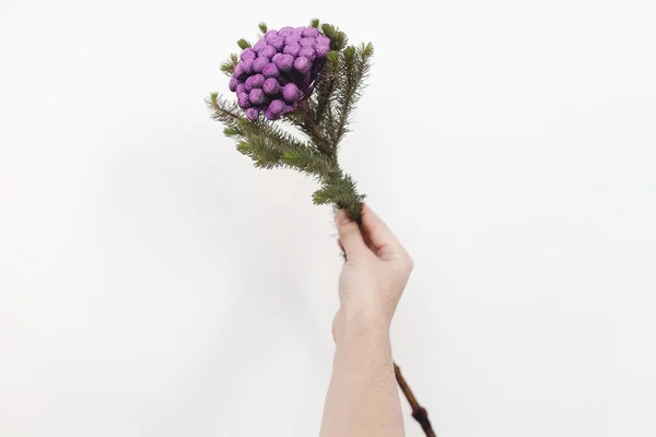 Planta Mano Brunia Sobre Fondo Blanco Con Espacio Para Copiar — Foto de Stock