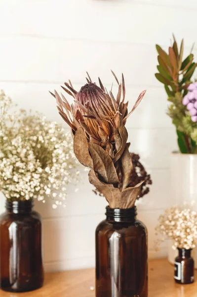 Flor Protea Seca Brunia Gypsophila Ervas Secas Diferentes Garrafas Vidro — Fotografia de Stock