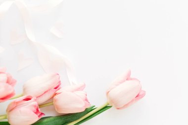 Beyaz arka planda kurdeleli pembe laleler. Zarif bir imaj. Mutlu kadınlar günü. Mesaj için yeri olan tebrik kartı. Anneler Günün kutlu olsun. Düğün ya da sevgililer günü kutlaması