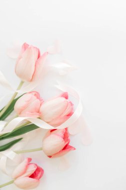 Kurdeleli pembe laleler ve beyaz arkaplanlı kalpler. Yumuşak, dikey bir görüntü. Mutlu kadınlar günü. Mesaj için yeri olan tebrik kartı modeli. Anneler Günün kutlu olsun. Sevgililer Günü
