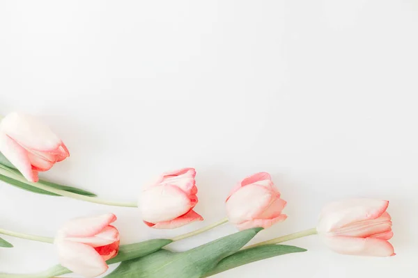 粉红郁金香边框平铺在白色的背景上 文字的空间 时尚柔软的春天图像 花香贺卡的造型 创意最小的照片 母亲节快乐 母亲节快乐 — 图库照片
