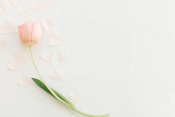Joyeuse Journée Des Femmes Une Tulipe Rose Avec Des Cœurs — Photo