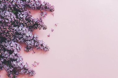 Pembe kağıtta leylak çiçekleri, şık bahar yatakları. Tex için yeri olan çiçek tebrik kartı. Mor leylak çiçekleri kenar, güzel bir görüntü. Anneler günün kutlu olsun. Kadınlar Günü