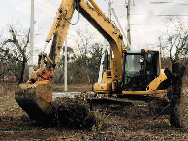 Excavadora Arrancando Árboles Tierra Campo Bulldozer Despejando Terreno Árboles Viejos —  Fotos de Stock