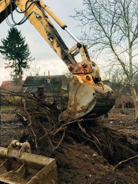 Koparka Wykorzenia Drzewa Lądzie Wsi Buldożer Oczyszcza Grunty Starych Drzew — Zdjęcie stockowe