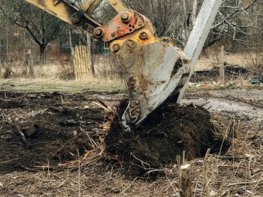 Kazıcı, kırsaldaki ağaçların kökünü kazıyor. Buldozer eski ağaçları, kökleri ve dalları toprak ve çöplerle temizliyor. Kazma makineleri. Bahçe işleri