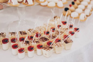 Lokantadaki düğün resepsiyonunda meyveli, pastalı ve kurabiyeli leziz kremalı panna cotta tatlısı. Lüks yemek servisi. Düğün şekeri.