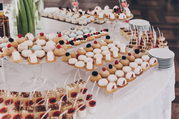 Deliziosi Dolci Cremosi Con Frutta Panna Cotta Torte Biscotti Tavola — Foto Stock