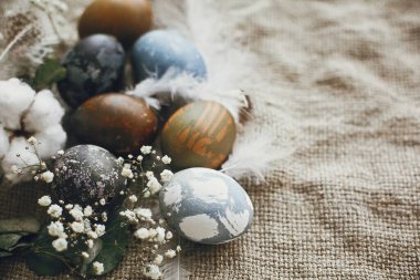 Kırsal kesimlerdeki yuvalarında tüylü paskalya yumurtaları. Doğal okaliptüs dallı paskalya yumurtaları, kırsal tekstil arka planında bahar çiçekleri. Metin için boşluk