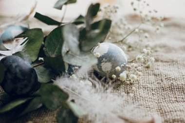 Mutlu Paskalyalar. Kırsal kesimlerdeki yuvalarında tüylü paskalya yumurtaları. Doğal okaliptüs dallı mavi paskalya yumurtaları, kırsal arka planda bahar çiçekleri..