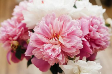 Anneler Günün kutlu olsun. Güneşli ışıkta güzel bir şakayık buketi. Ahşap arka planda zarif pembe ve beyaz şakayıklar. Merhaba bahar. Sevgililer günün kutlu olsun.