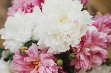 Güneşli ışıkta güzel bir şakayık buketi. Ahşap arka planda zarif pembe ve beyaz şakayıklar. Merhaba bahar. Anneler Günün kutlu olsun. Sevgililer günün kutlu olsun.