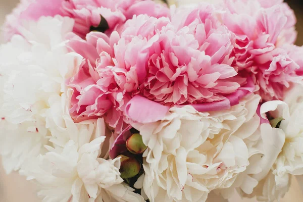 Beau Bouquet Pivoines Ensoleillé Pivoines Roses Blanches Élégantes Sur Fond — Photo