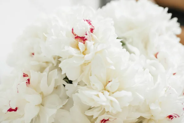 Bellissimo Bouquet Peonia Vicino Sfondo Bianco Della Parete Peonie Bianche — Foto Stock