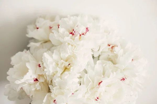 Adorável Buquê Peônia Perto Fundo Parede Branca Peônias Brancas Elegantes — Fotografia de Stock