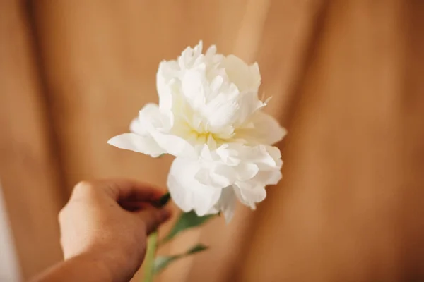 素朴な木製の背景に白い牡丹を保持手 白い花を配置する花屋の手 こんにちは春の壁紙 幸せな母の日 結婚式の飾り スペーステキスト — ストック写真