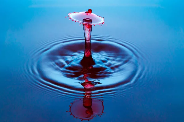 Shape of falling drops — Stock Photo, Image