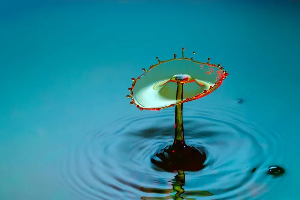 Shape of falling drops — Stock Photo, Image